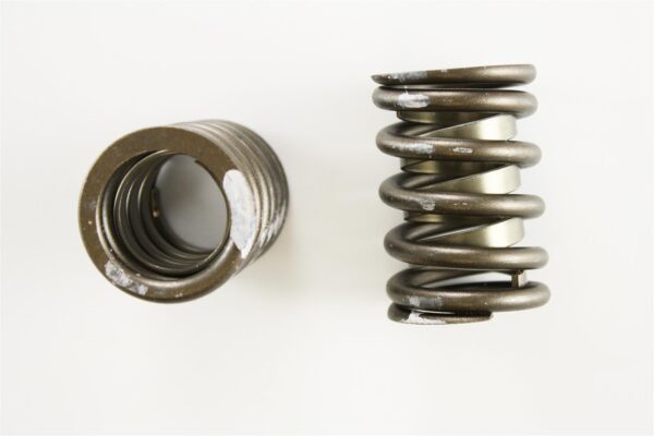 Pioneer - Performance Valve Springs