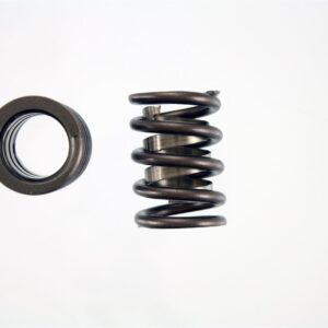 Pioneer – Performance Valve Springs