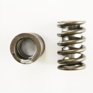 Pioneer – Performance Valve Springs