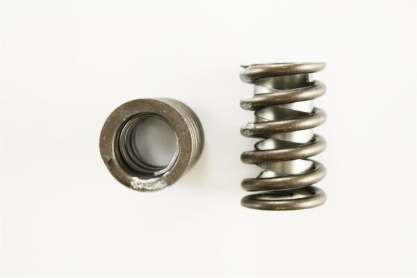 Pioneer - Performance Valve Springs