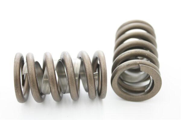 Pioneer - Performance Valve Springs