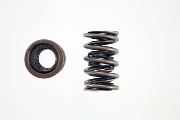 Pioneer - Performance Valve Springs