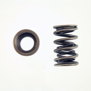 Pioneer – Performance Valve Springs