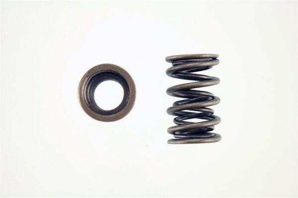 Pioneer - Performance Valve Springs