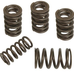 Pioneer – Performance Valve Springs