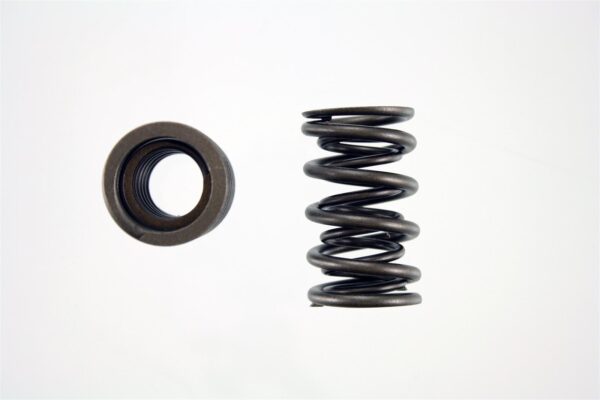 Pioneer - Performance Valve Springs