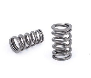 Comp Cams – Race Sportsman Series Valve Springs