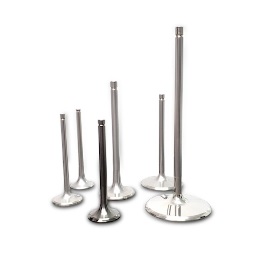 Ferrea – Titanium Competition Series – Intake Valves