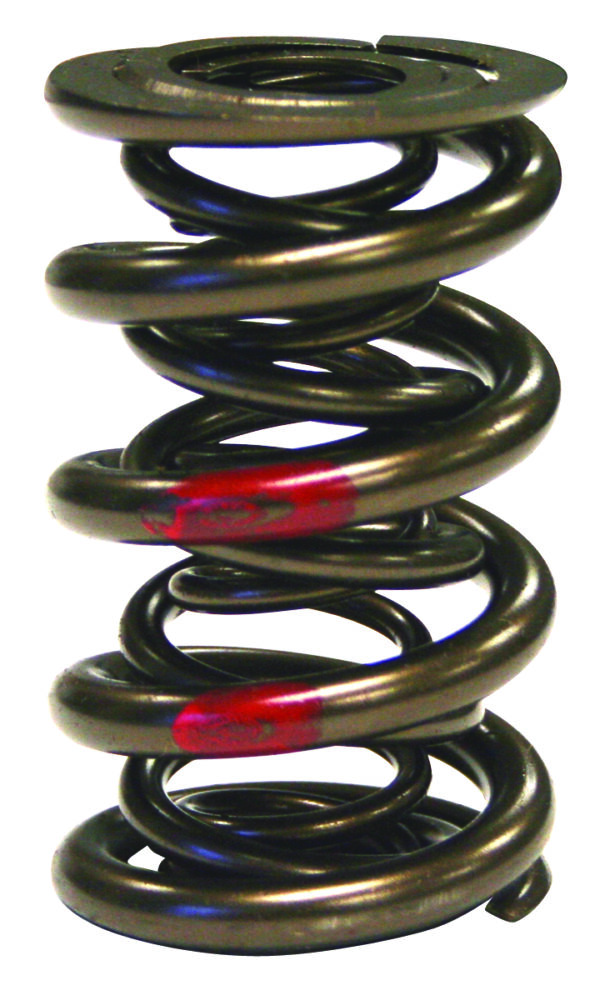 Howards Cams - Pro-Alloy Valve Springs