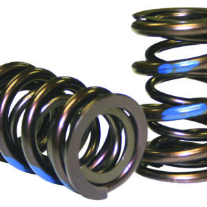 Howards Cams – Pro-Alloy Valve Springs