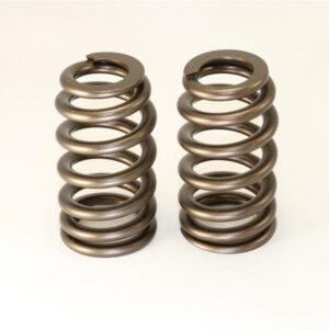 ISKY Racing Cams – B-HIVE Series Valve Springs