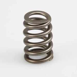 Manley Performance – NexTek Series Valve Springs