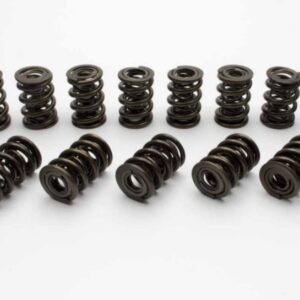 Manley Performance – NexTek Series Valve Springs