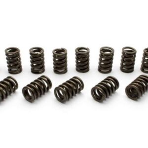 Manley Performance – Street Master Series Valve Springs