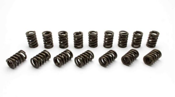 Manley Performance - Street Master Series Valve Springs