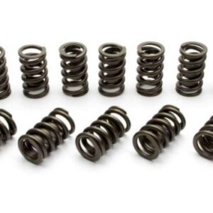 Manley Performance – Professional Series Valve Springs