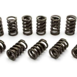 Manley Performance – Professional Series Valve Springs