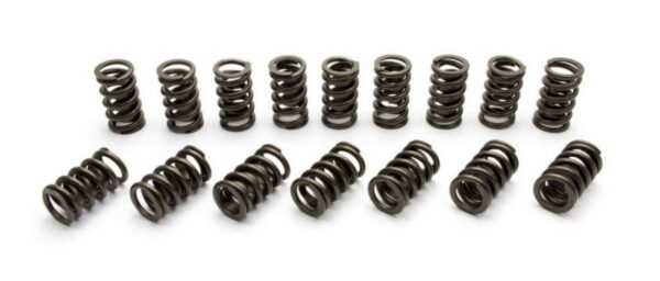 Manley Performance - Professional Series Valve Springs