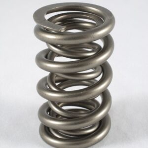 PAC Racing Springs – RPM Series Valve Springs