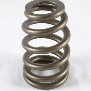 PAC Racing Springs – 1200 Series Valve Springs