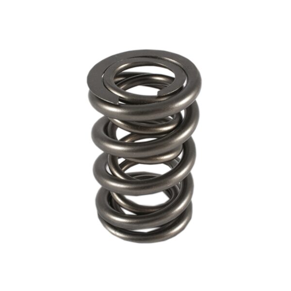 PAC Racing Springs - 1200 Series Valve Springs