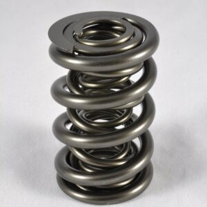 PAC Racing Springs – 1200 Series Valve Springs