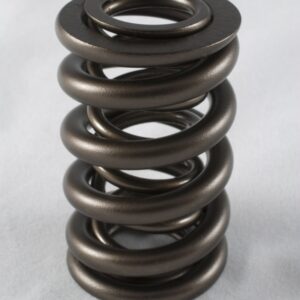 PAC Racing Springs – 1200 Series Valve Springs