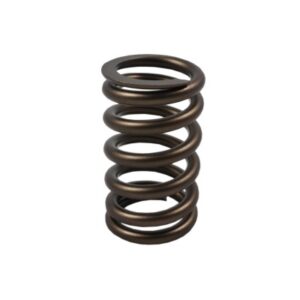 PAC Racing Springs – Hot Rod Series Valve Springs